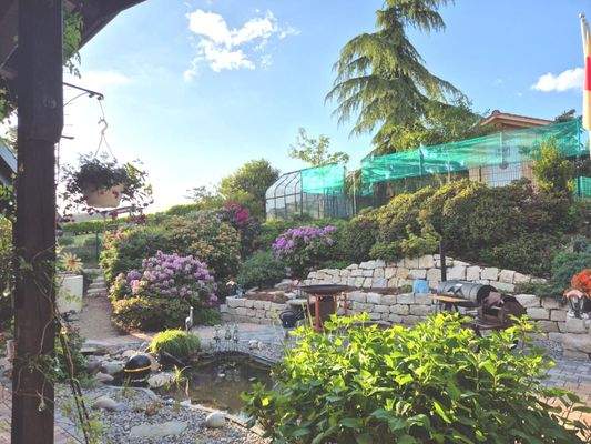 20250612_095450000_iOS 3.jpg