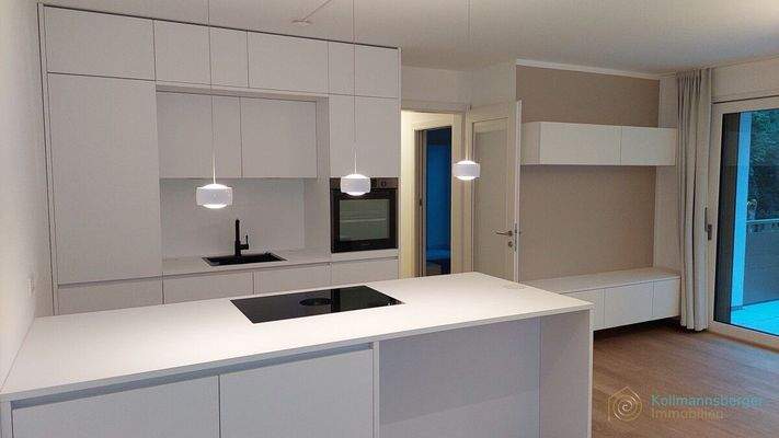 Frontansicht der Designküche