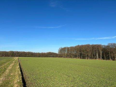 Syke Bauernhöfe, Landwirtschaft, Syke Forstwirtschaft