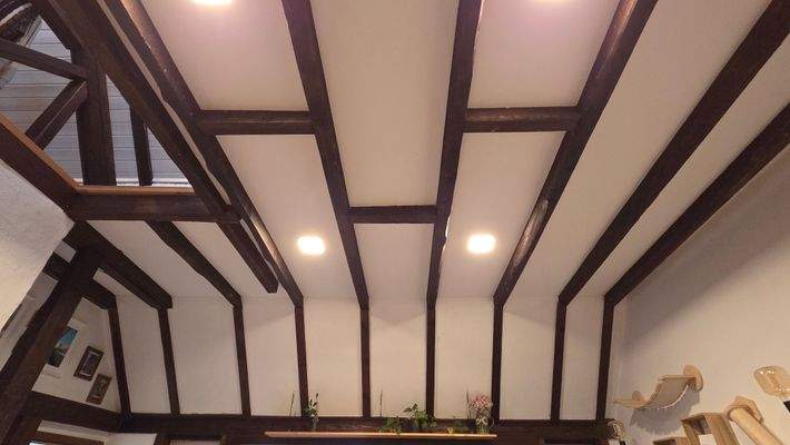 008 Holzdecken-LED Beleuchtung