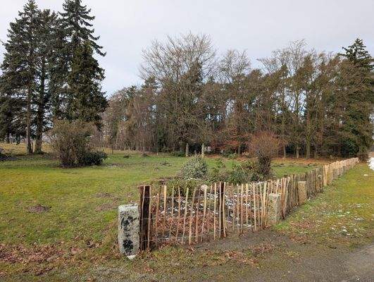 Garten und Waldstück