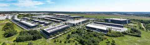 Berlin Halle, Berlin Hallenfläche