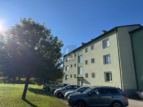 Griffen Wohnungen, Griffen Wohnung kaufen