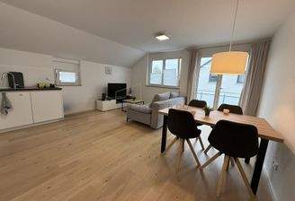 Großer Wohn-/Essbereich