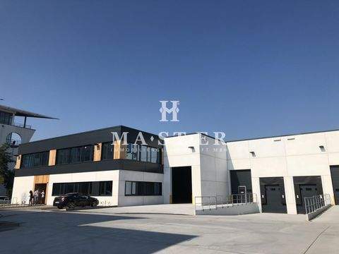 Bad Oldesloe Halle, Bad Oldesloe Hallenfläche