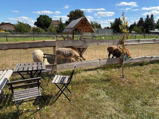 mögliche Tierhaltung