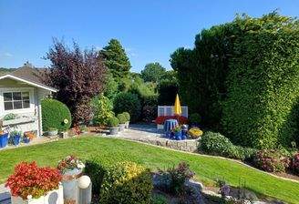 Blick in den Garten