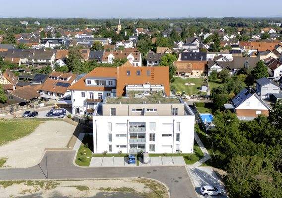 Luftbild Neubau Rheinau