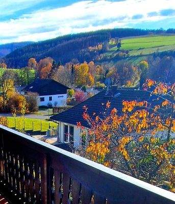 Fernblick vom Balkon EG-WHG