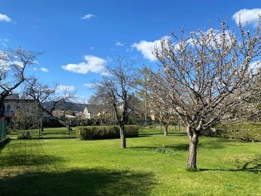 eingezäunter Garten