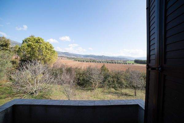 Krinides-Tsiriktsidou 23-02-2024-32.jpg