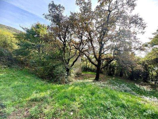 WhatsApp Image 2024-11-05 at 11.24.02 (1).jpeg