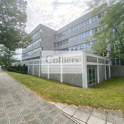 Nürnberg Büros, Büroräume, Büroflächen 
