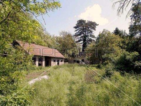 Ferdinandovac Bauernhöfe, Landwirtschaft, Ferdinandovac Forstwirtschaft