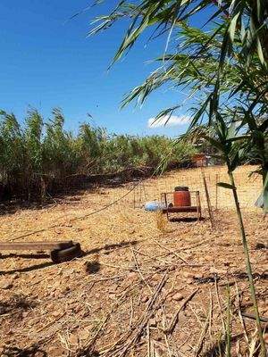 Kreta, Voukolies: Grundstück mit Baugenehmigung und Meerblick zu verkaufen