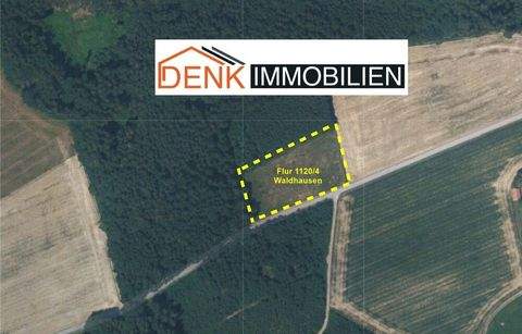 Schnaitsee / Waldhausen Bauernhöfe, Landwirtschaft, Schnaitsee / Waldhausen Forstwirtschaft