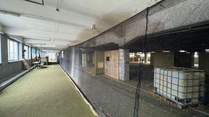 Groß (IMG_9983).jpeg