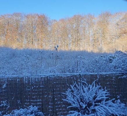 Winterimpression.JPG