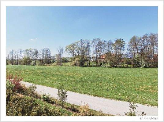 145-2025 Auenwiese.jpg