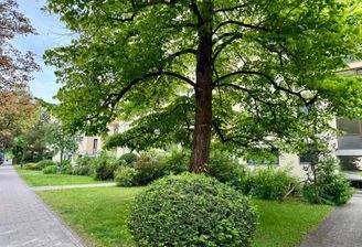 Vorgarten