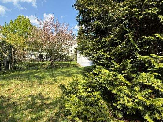 Grundstück - Garten