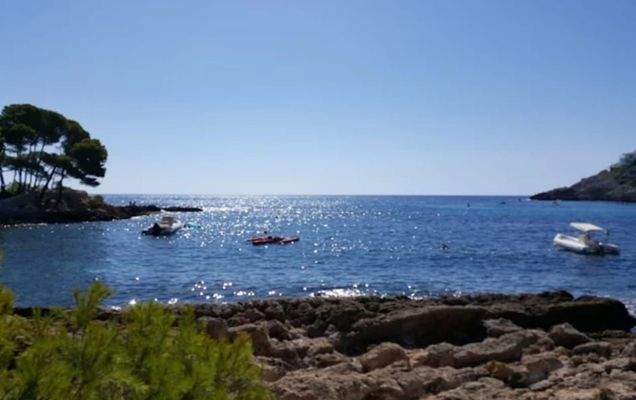 WhatsApp Image 2023-09-18 at 12.50.18.jpeg