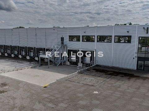 Ahrensfelde Halle, Ahrensfelde Hallenfläche