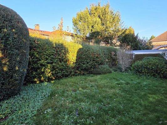 Gartenansicht von hinten