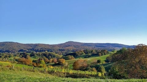 Grasellenbach Wohnungen, Grasellenbach Wohnung mieten