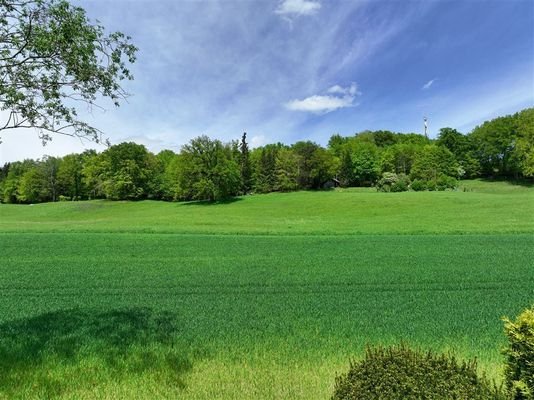 Blick vom Garten