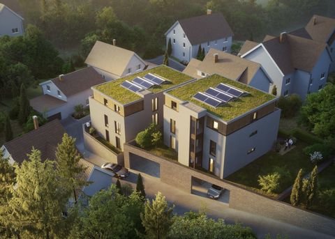 Weinheim Wohnungen, Weinheim Wohnung kaufen