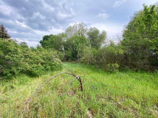 Eine Weitere Ansicht