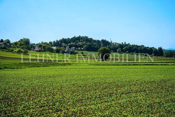 Lehner Immobilien Bild 3