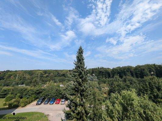 Ausblick (Am Hohen Hain)