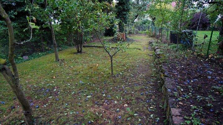 sowie PLatz zum Gärtnern, auch der Obstbaumbestand kann begeistern