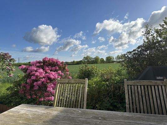 Blick über das Feld