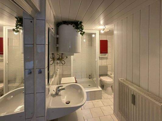 Blick in das Duschbad 