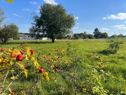 Heroldsberg Grundstücke, Heroldsberg Grundstück kaufen