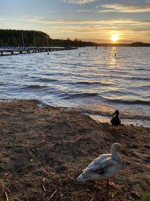 Abenddämmerung am Badestrand