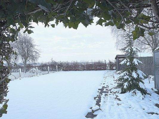 Winterimpressionen...