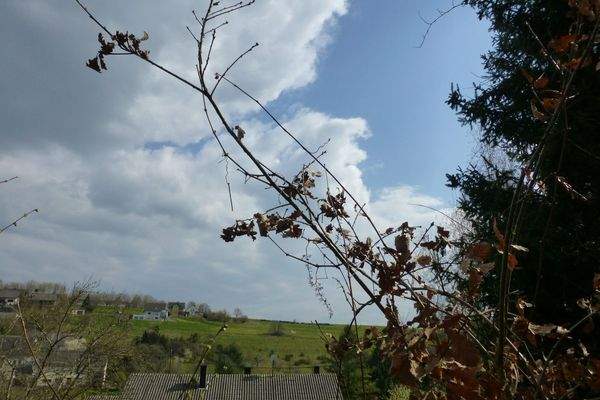 54497 Horath - Harpelsteinstraße 32