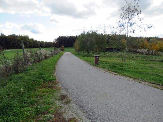 gute geteerte Zufahrt 