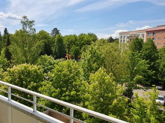 Ausblick ins Grüne