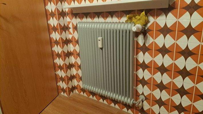 Beispiel für einen Heizkörper mit Messgerät.jpg