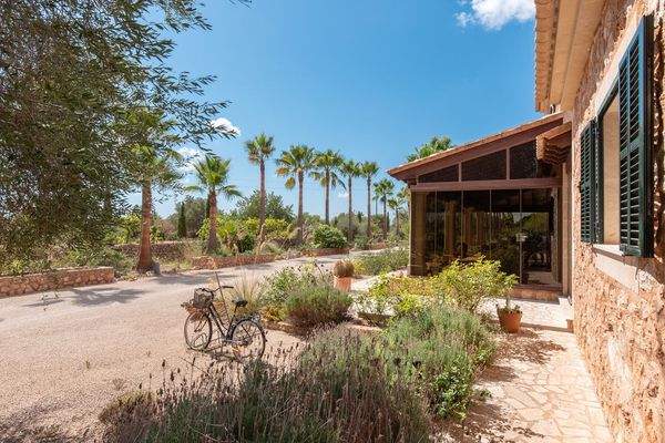 Hauptzufahrt mit Palmenallee