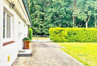 mit Wäldchen gleich nebenan......