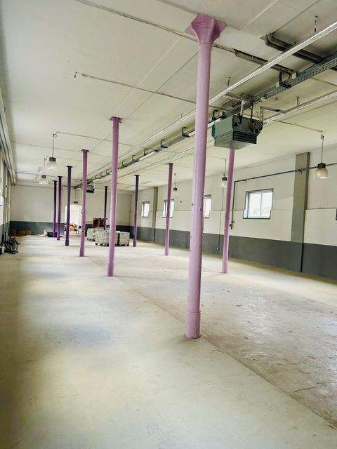 Saarlouis Halle, Saarlouis Hallenfläche