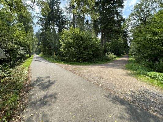 Naherholung Kottenforst