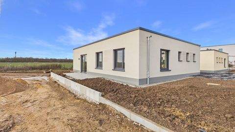 Köln / Elsdorf Häuser, Köln / Elsdorf Haus kaufen