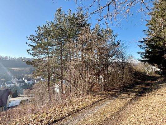 Höhenlage mit Weitblick